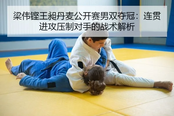 liang-wei-keng-wang-chang-dan-mai-gong-kai-sai-nan-shuang-duo-guan-lian-guan-jin-gong-ya-zhi-dui-shou-de-zhan-shu-jie-xi-2-470.jpg